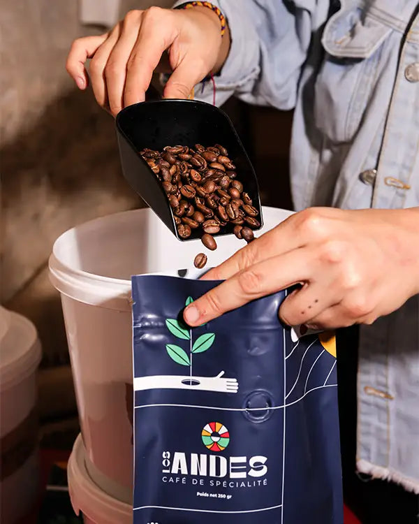 Café de Spécialité Jaguar - Colombie - Grains ou Moulu los andes coffee 2