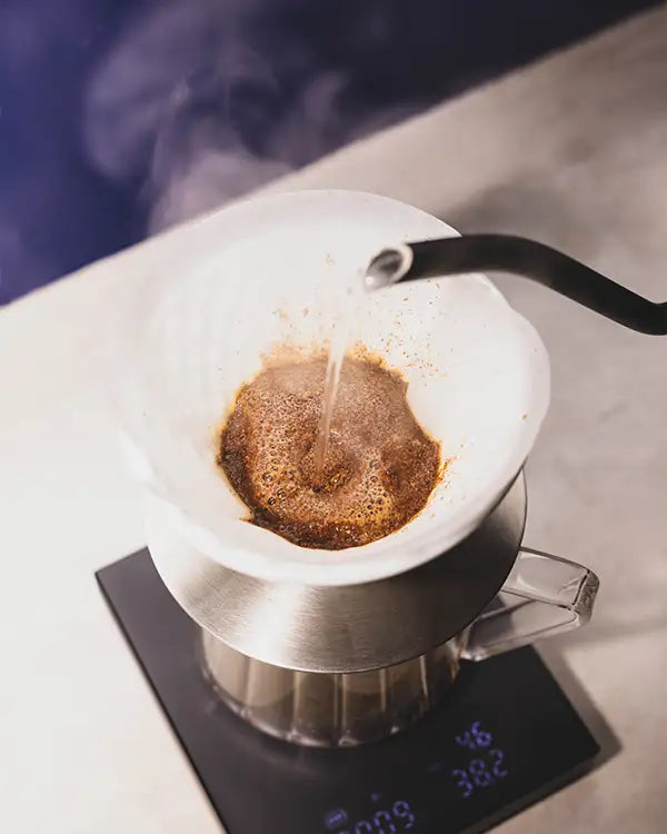 Café de Spécialité Pink Bourbon Honey Co-Fermenté Sinaloa