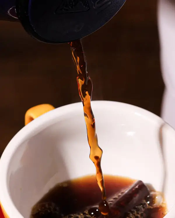 Casquette tinto lover los andes coffee 2