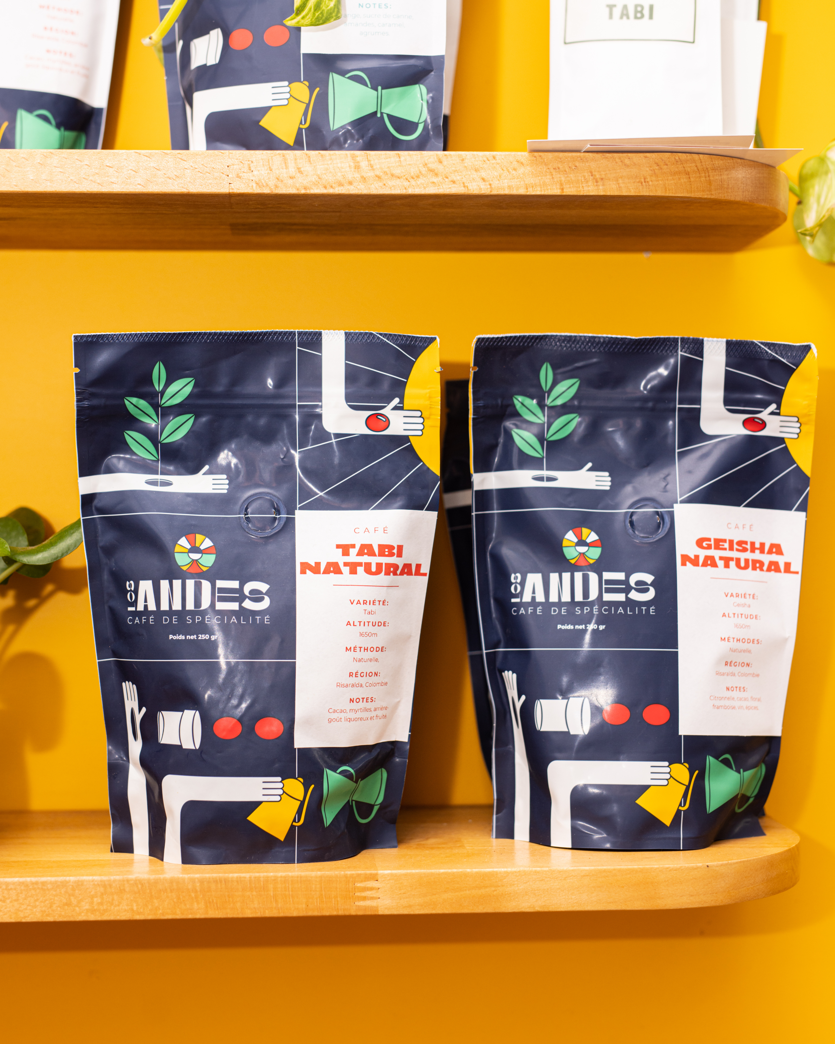 Café de Spécialité Geisha Naturel Grains ou Moulu